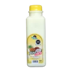 Alimento Lácteo Fermentado Piña-Coco 500 g - Campo Alegre Alimentos