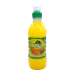 Bebida Saborizada Sabor Naranja 300 ml - Campo Alegre Alimentos